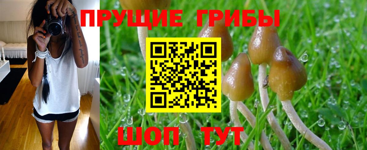 Галлюциногенные грибы мухоморы  Вход с VPN  купить  цена  Алейск 