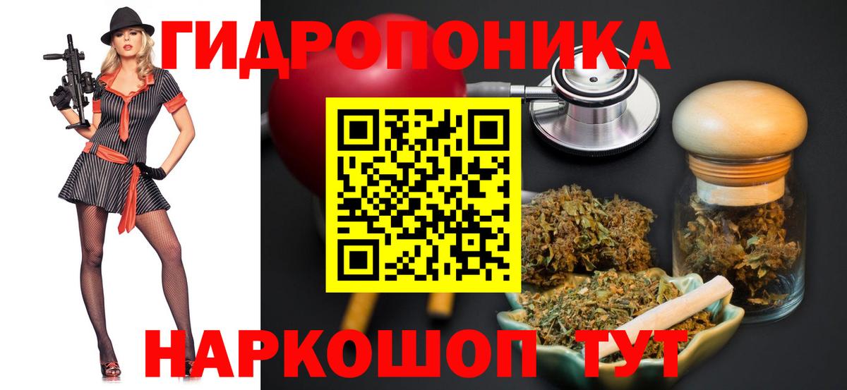 Каннабис сатива Алейск